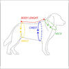Buddy Belt Limited Dog Leather Harness - Designer Harness