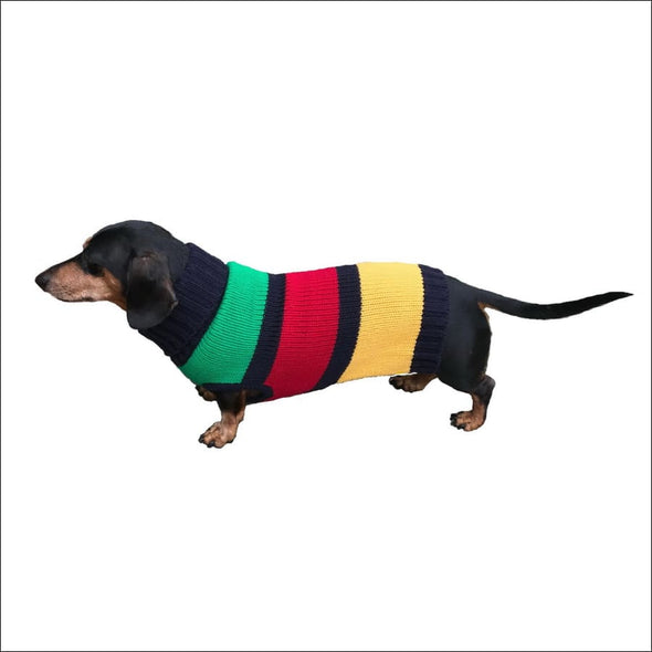 Color Block Stripes By Dallas Dogs - Designer Sweaters