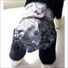 Copy of Jack and Jill Reusable Dog Diaper Without Tail 