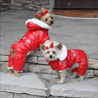 NEW-Doggie Design Ruffin It Red Snow Suit - Designer Dog 