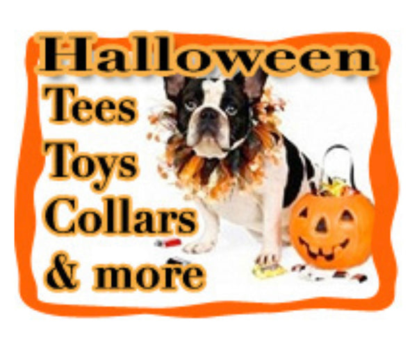 Halloween Tees, Toys, Collars