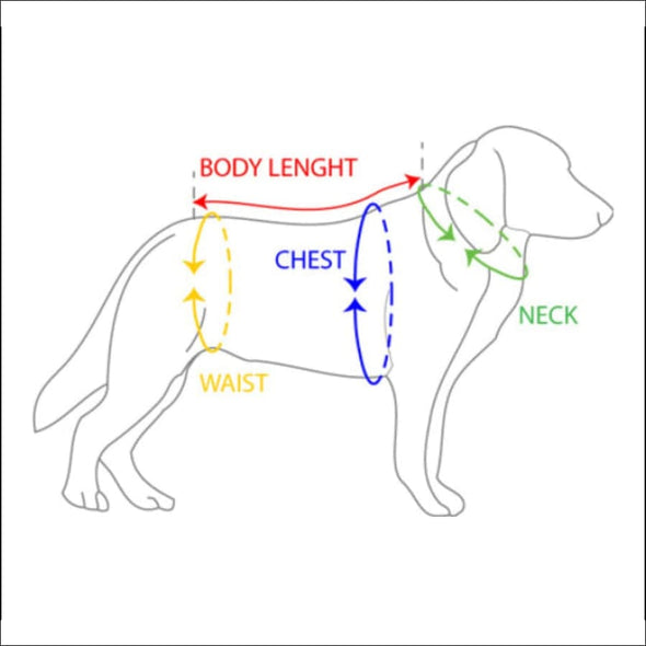Buddy Belt Leather Permeant Dog Harness - Animals & Pet