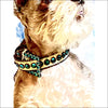 Light Green Collar with Swarovski Crystals By BB SImon -