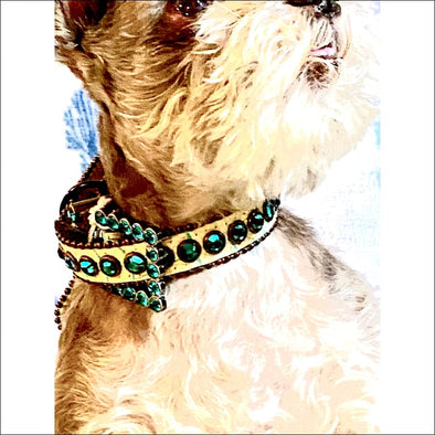 Light Green Collar with Swarovski Crystals By BB SImon -