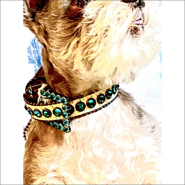 Light Green Collar with Swarovski Crystals By BB SImon -