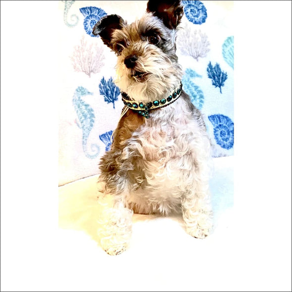 Light Green Collar with Swarovski Crystals By BB SImon -