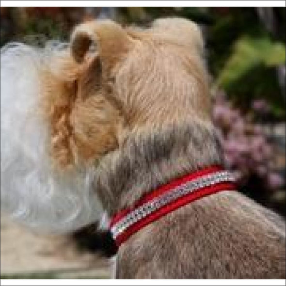 2 Row Giltmore Collar by Susan Lanci Designs - Collars