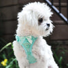 NEW-Polka Dot Ruffle American River Choke Free Harness