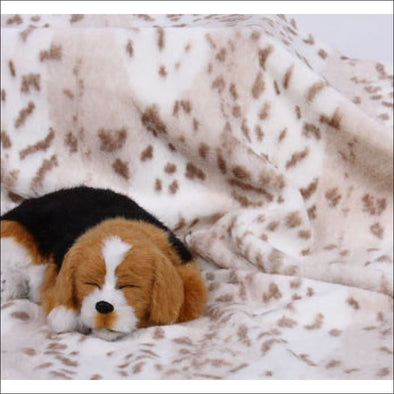 Arctic Snow Leopard Pet Blanket by Susan Lanci Designs - 