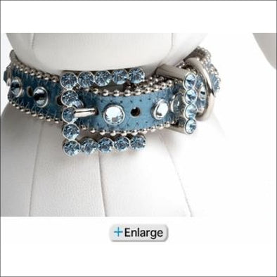 B.B. Simon Dog Collar - Blue / Swarovski Crystals - Collars