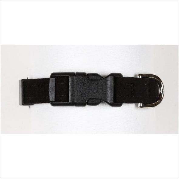 Black Quick Release Collar - Pet Collars & Harnesses