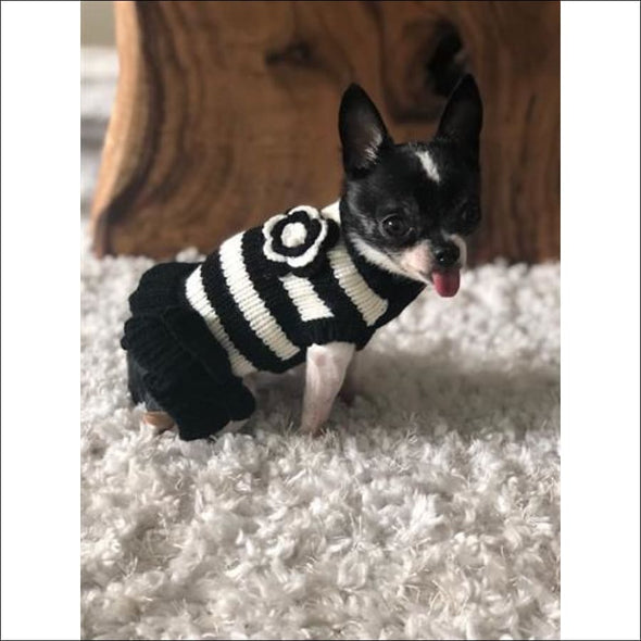 Black & White Sweater Dress By Dallas Dogs - Designer 