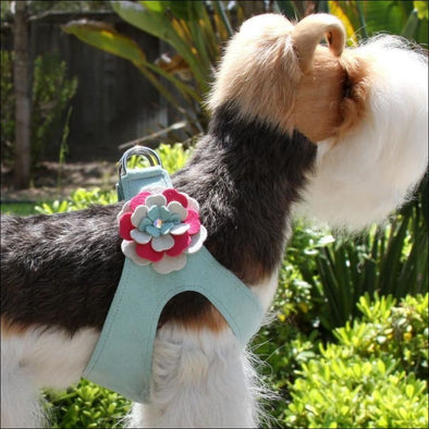 Blossom Flower Step In Harness - Harness
