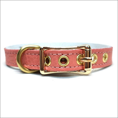 Buddy Belts Elite Leather Dog Collar - Designer Collar