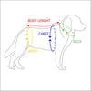 Buddy Belts Elite Leather Dog Collar - Designer Collar