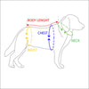 Buddy Belts Elite Leather Dog Collar - Designer Collar