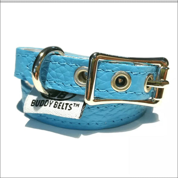 Buddy Belts Premium Dog Collar - Designer Collar