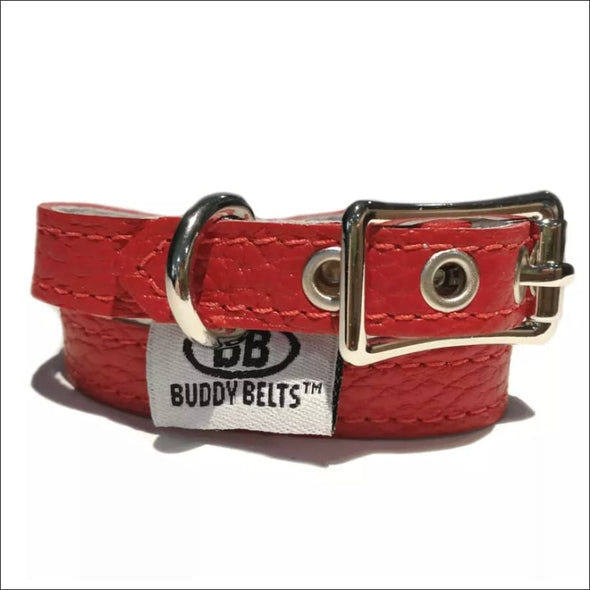Buddy Belts Premium Dog Collar - Designer Collar