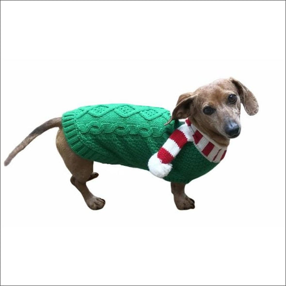green sweater,holiday sweater,christmas dog sweater,christmas dog,dog sweater,puppy sweater,pet sweater,small dog sweater,hand knit sweater,knit dog sweater,sweater for dogs,dogs sweaters,holiday dog sweater,patterned dog sweater,dog sweater with scarf