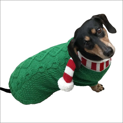 green sweater,holiday sweater,christmas dog sweater,christmas dog,dog sweater,puppy sweater,pet sweater,small dog sweater,hand knit sweater,knit dog sweater,sweater for dogs,dogs sweaters,holiday dog sweater,patterned dog sweater,dog sweater with scarf