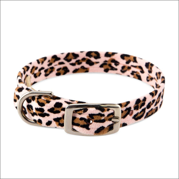 Cheetah Couture Plain Collar - 5.5-7 Teacup - Collars