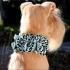 Cheetah Couture Tinkie Flowers Collar - Collars
