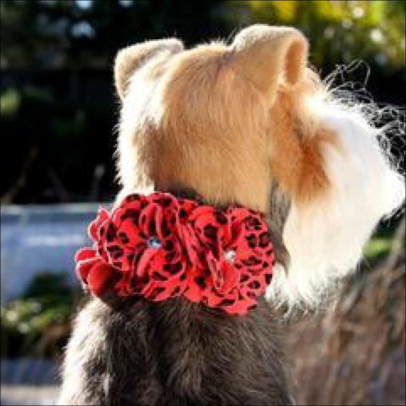 Cheetah Couture Tinkie Flowers Collar - Collars