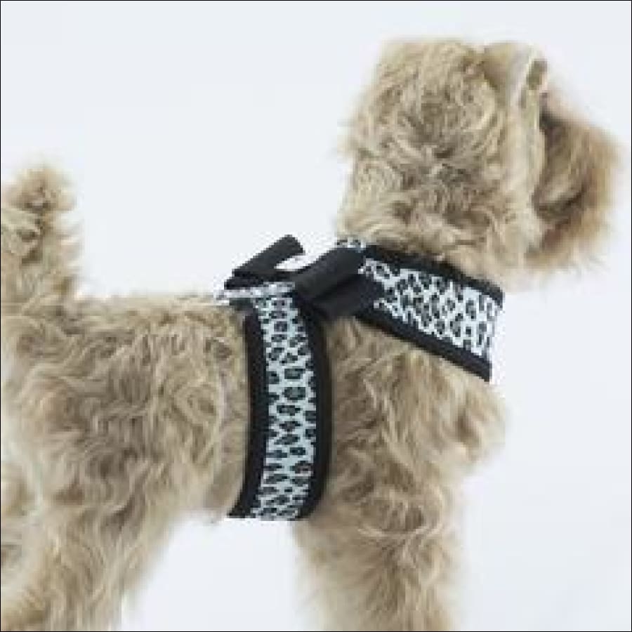 Cheetah dog harness hotsell