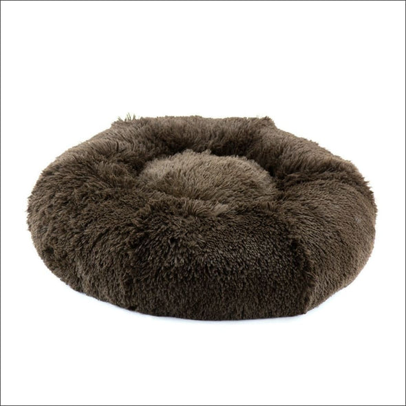 Chocolate Shag Bed - Beds