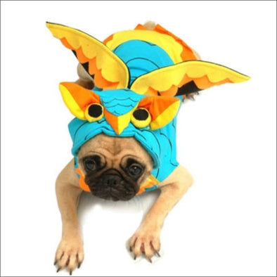 Colorful Owl Pet Costume - Pet Costume