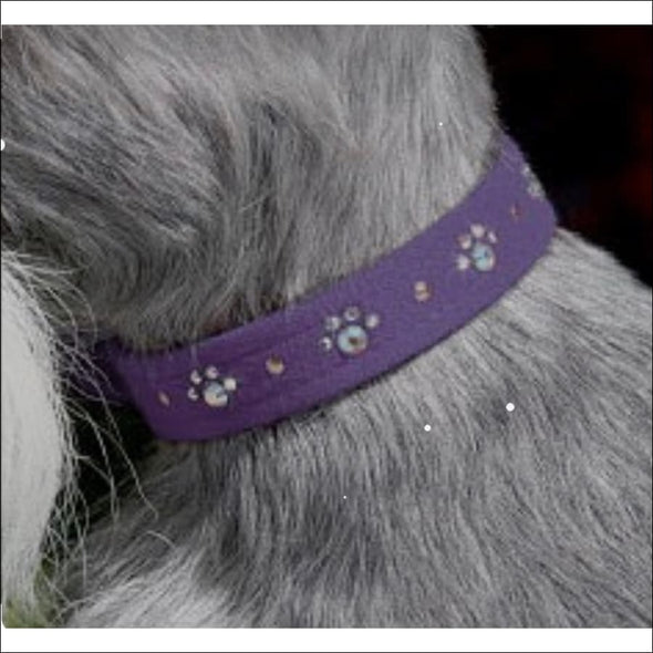 Crystal Paws Collar - Collars
