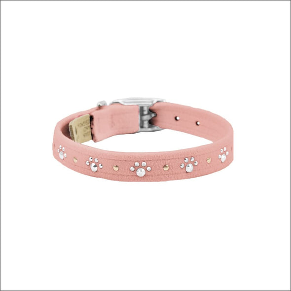 Crystal Paws Collar - Collars