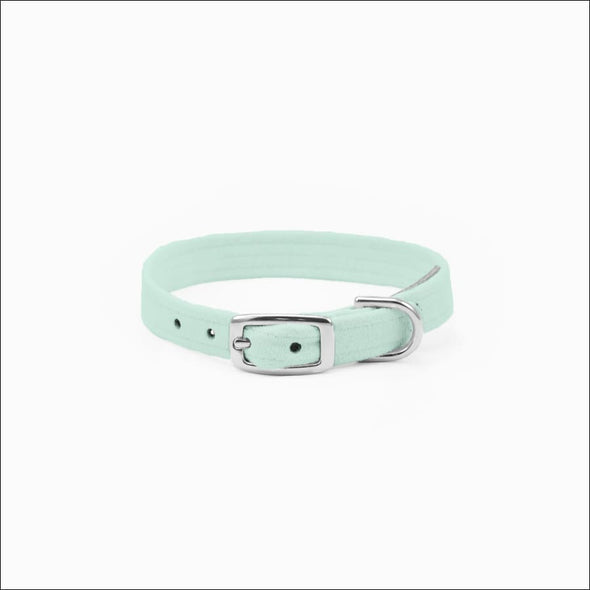 Crystal Paws Collar - Collars