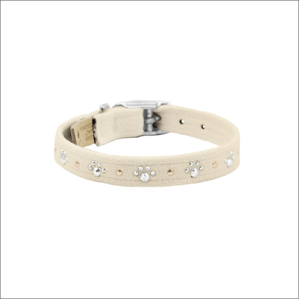 Crystal Paws Collar - Collars