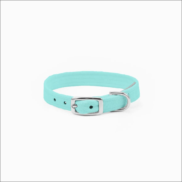 Crystal Paws Collar - Collars