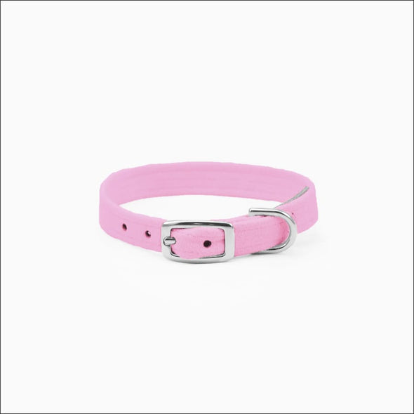 Crystal Paws Collar - Collars