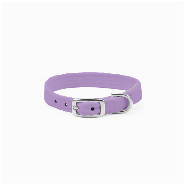 Crystal Paws Collar - Collars