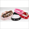 Crystal Paws Collar - Collars