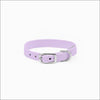 Crystal Paws Collar - Collars