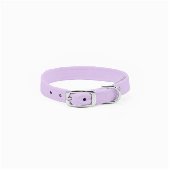 Crystal Paws Collar - Collars