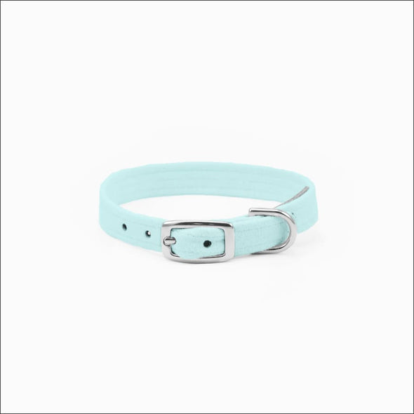Crystal Paws Collar - Collars