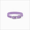 Crystal Paws Collar - Collars