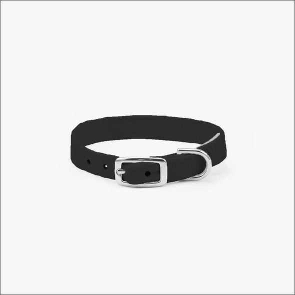 Crystal Paws Collar - Collars