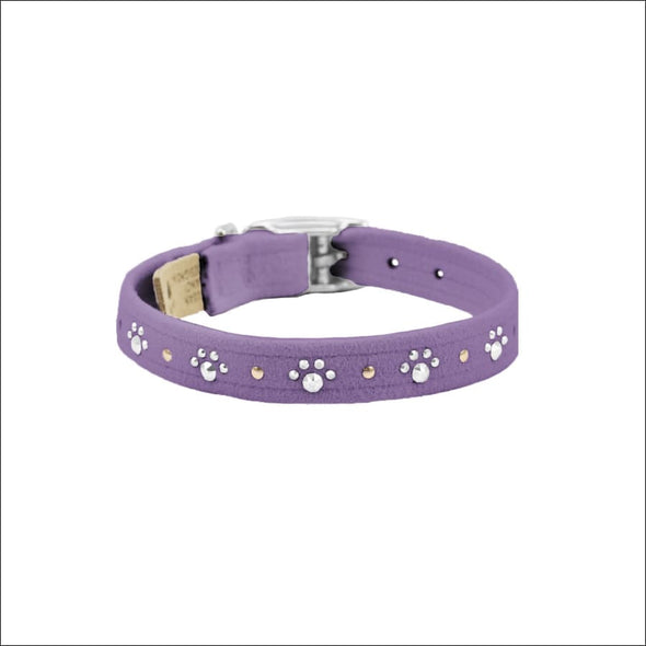 Crystal Paws Collar - Collars