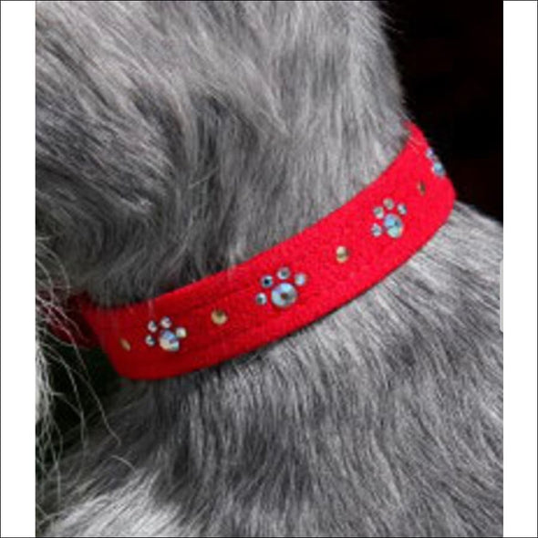 Crystal Paws Collar - Collars