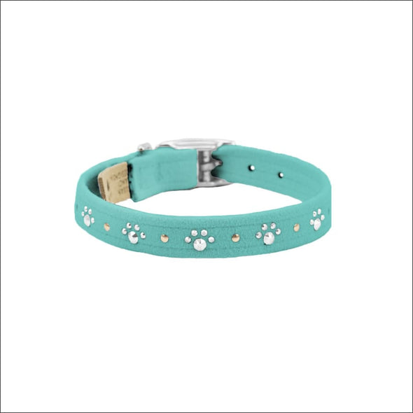 Crystal Paws Collar - Collars