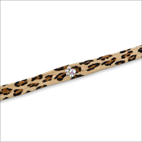 Crystal Paws Leash - Leash