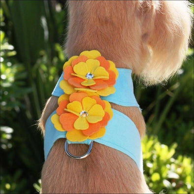 Darla Tinkie Harness