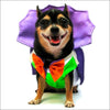 Dogula Dog Halloween Costume