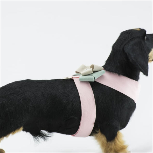 Double Nouveau Bow Tinkie Harness